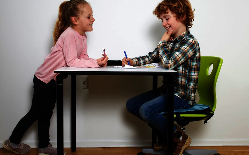 Kugelkissen FiNiFuchs