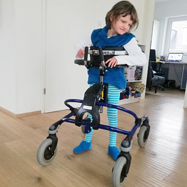 Mustang R82 Mustang R82