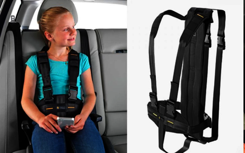 Careva Kombi Kit Reha Gurtsystem FiNiFuchs