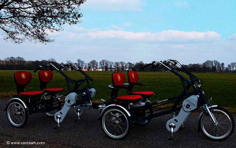 Vanraam Tandem FunTrain