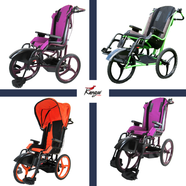 Kangoo Largoo Rehawagen