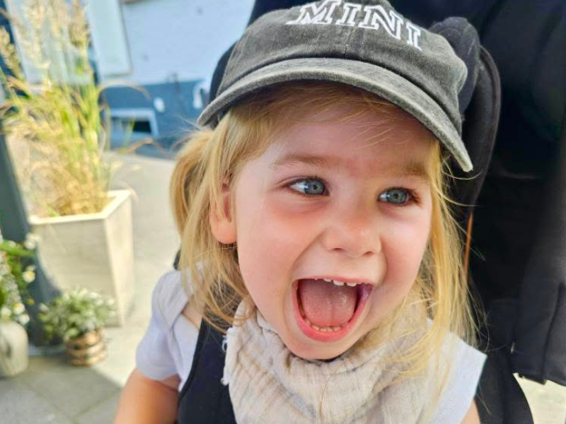 ICP-FiNiFuchs ICP-FiNiFuchs