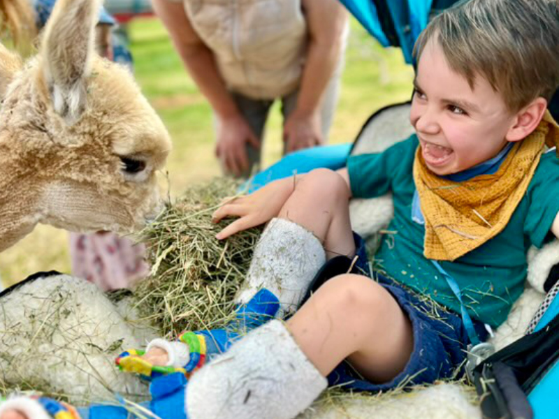 Was ist das KCNQ2-Syndrom 